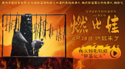 动乱的年代